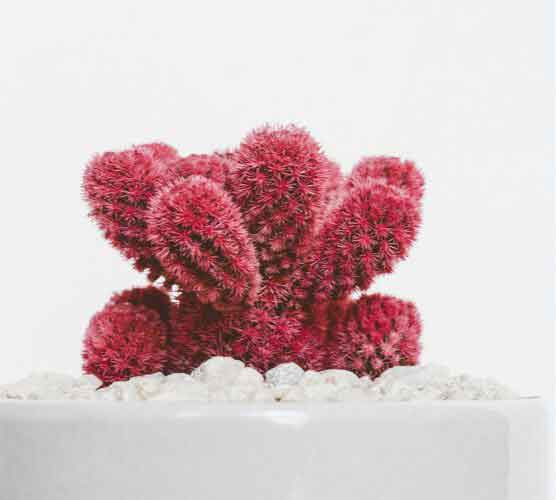 哪个平台安全的云呼官方